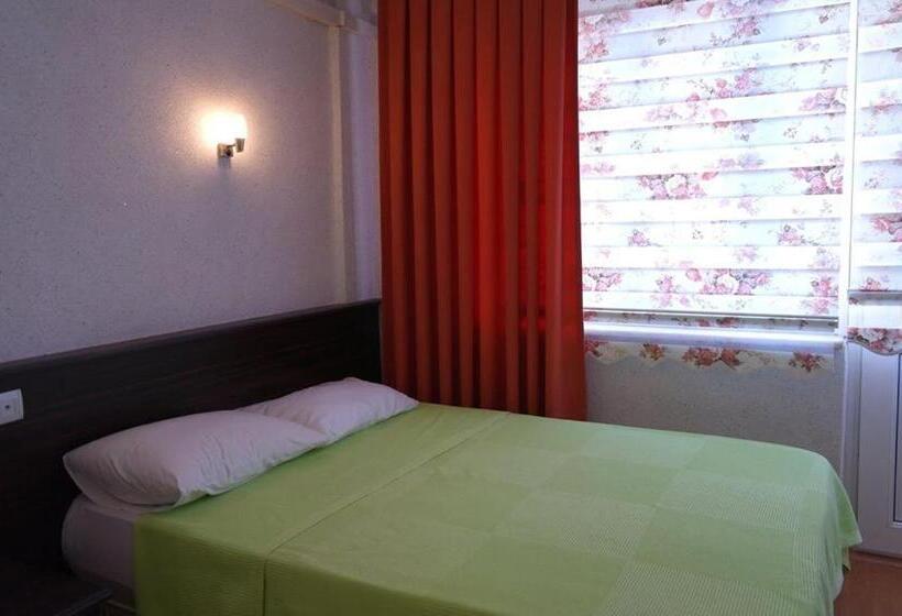 ホテル Dolphin Yunus