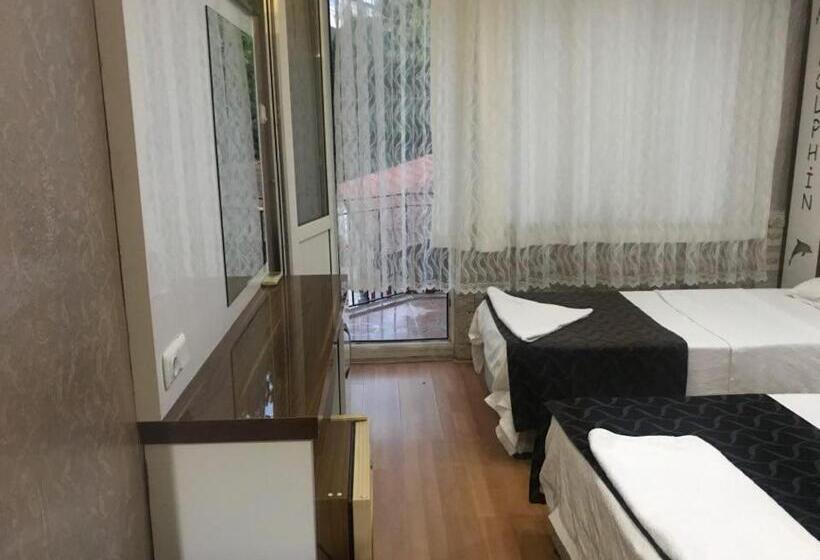 ホテル Dolphin Yunus