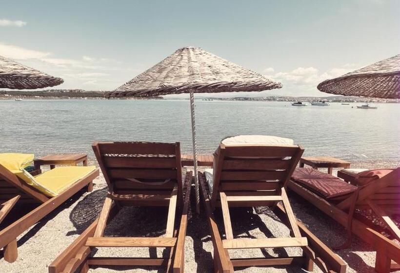 בית מלון כפרי Erol