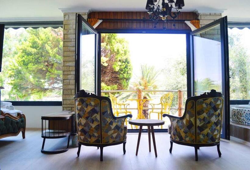 בית מלון כפרי Erol