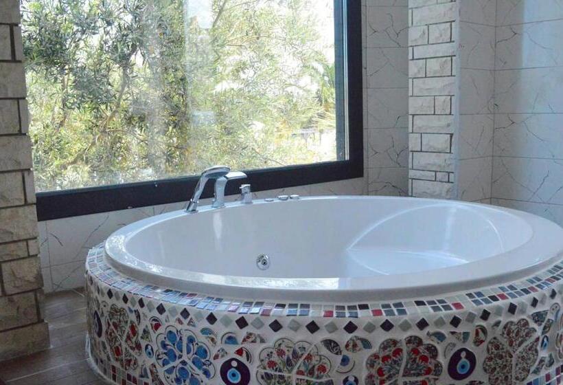 בית מלון כפרי Erol