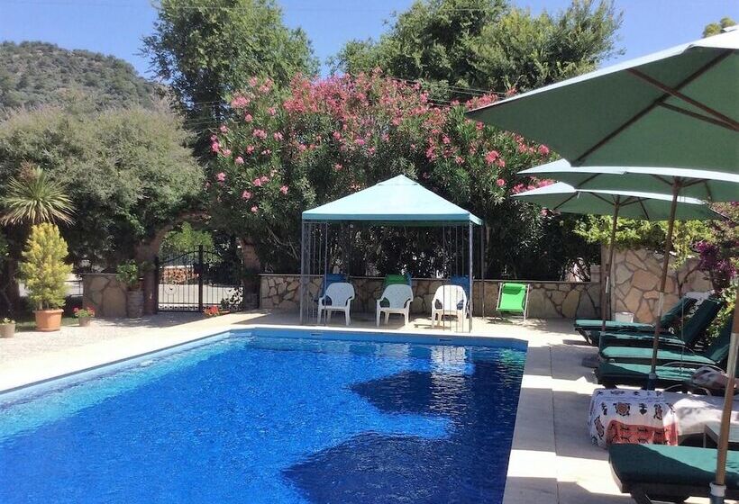 בית מלון כפרי Kilim