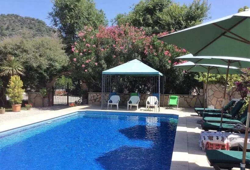 Hotel Kilim
