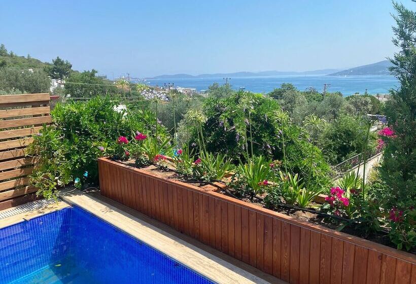 בית מלון כפרי Olivia