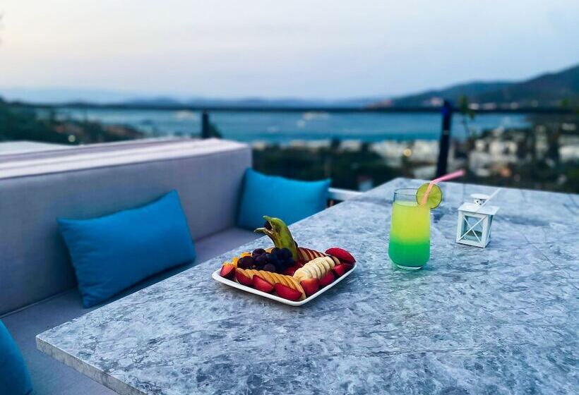 בית מלון כפרי Olivia