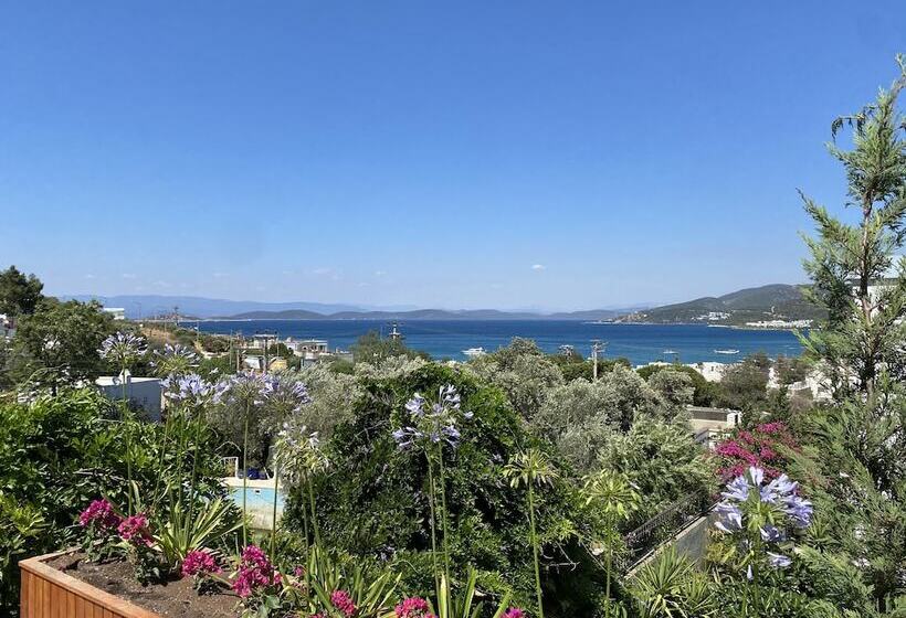 בית מלון כפרי Olivia