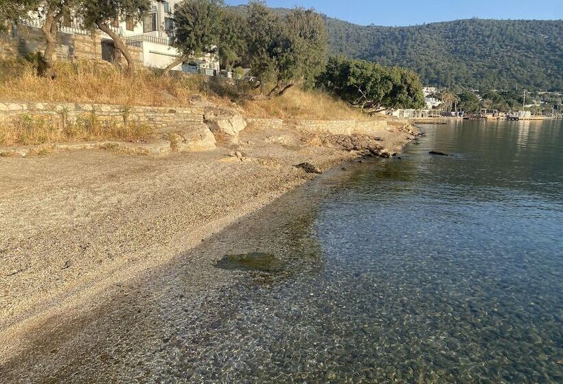 בית מלון כפרי Olivia