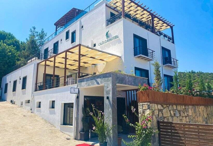 בית מלון כפרי Olivia