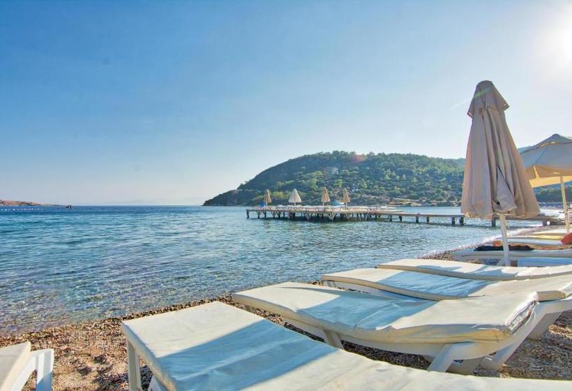 בית מלון כפרי Selvi Beach