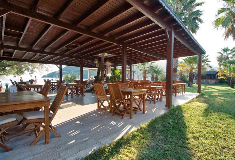 בית מלון כפרי Selvi Beach