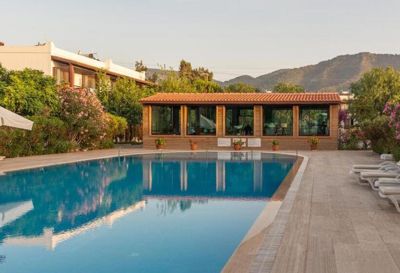 בית מלון כפרי Selvi Beach