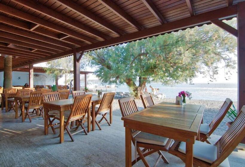 בית מלון כפרי Selvi Beach