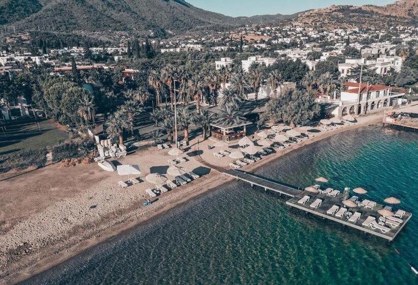 בית מלון כפרי Selvi Beach