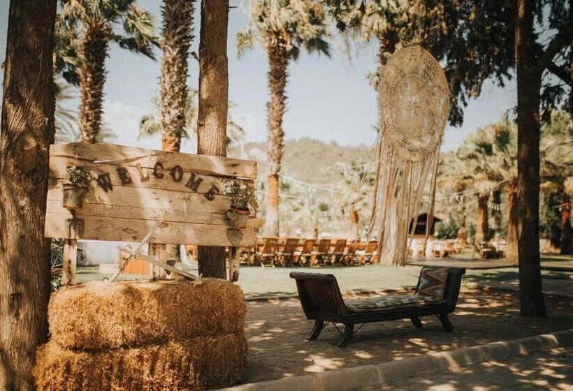 בית מלון כפרי Selvi Beach