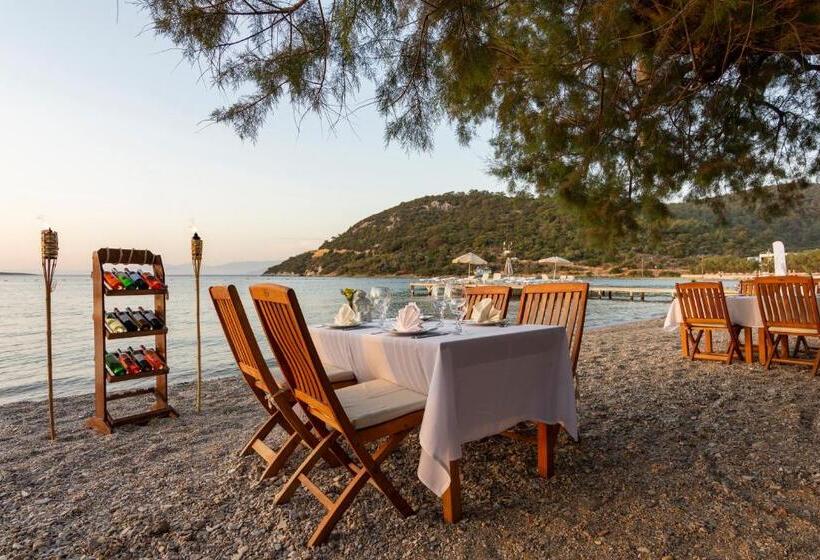 בית מלון כפרי Selvi Beach