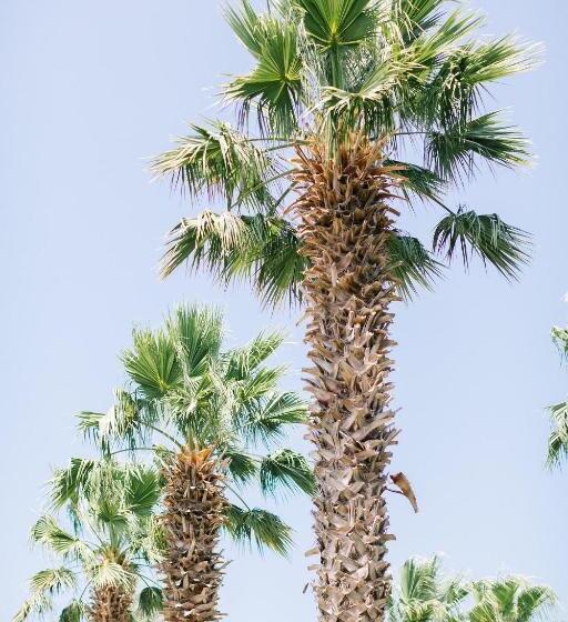 בית מלון כפרי Selvi Beach