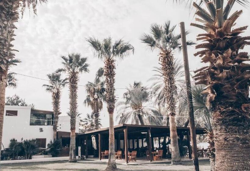 בית מלון כפרי Selvi Beach