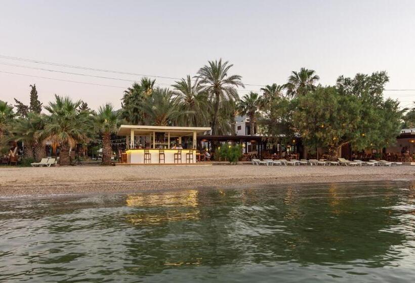 בית מלון כפרי Selvi Beach