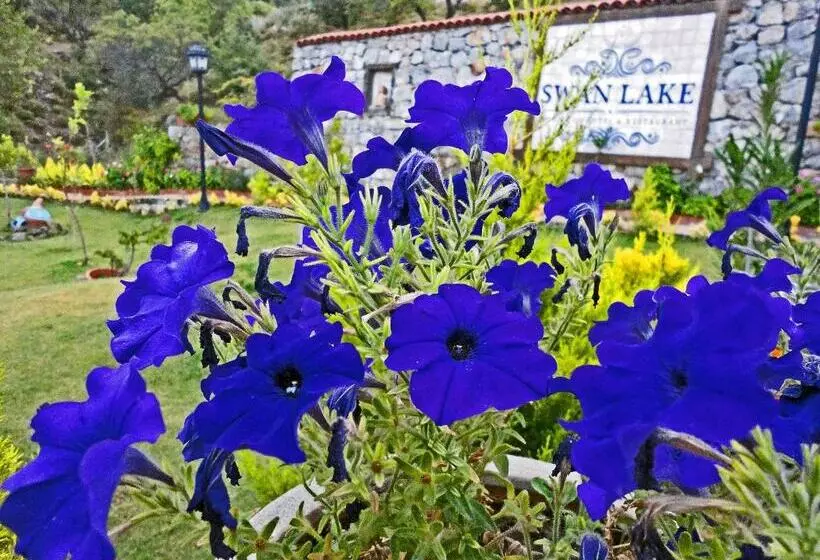Swan Lake Hotel   Adult Only