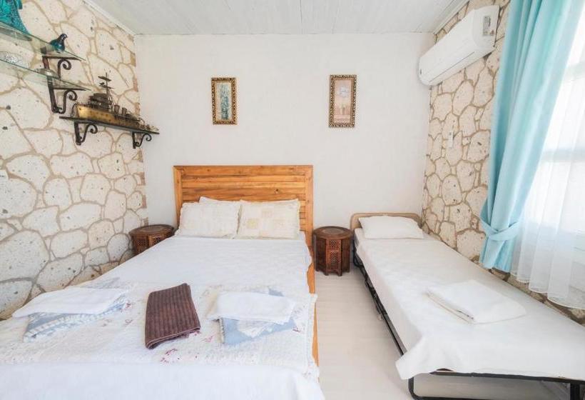 בית מלון כפרי Nobela