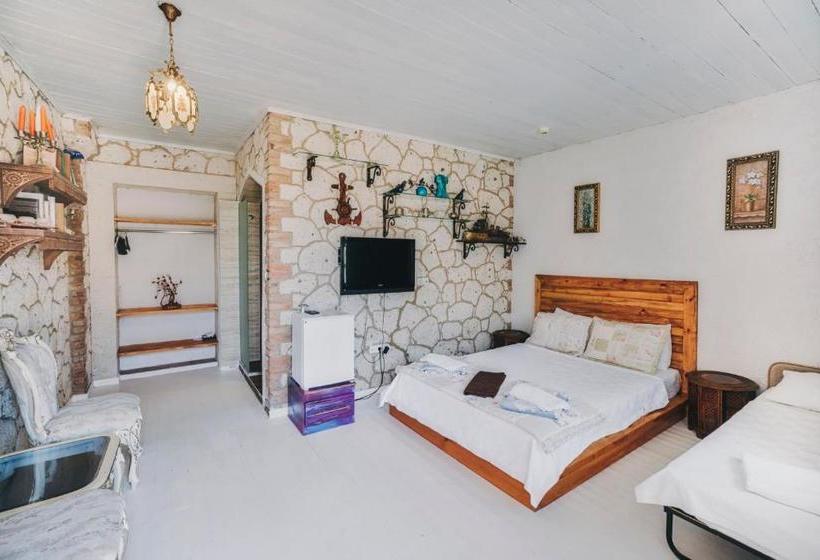 בית מלון כפרי Nobela