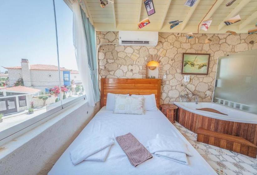 בית מלון כפרי Nobela