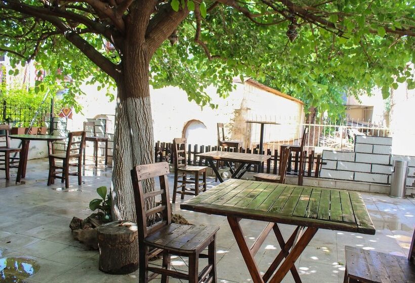 מוטל White City Pension