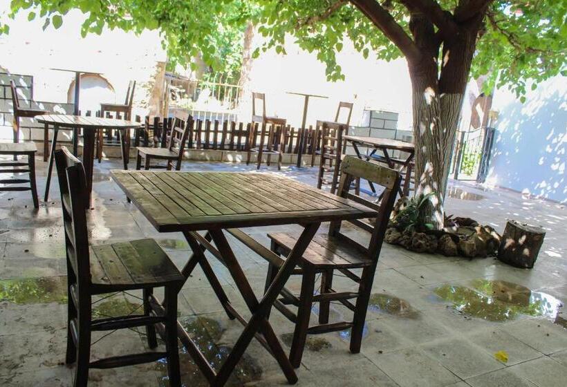 מוטל White City Pension