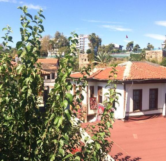 מוטל White City Pension