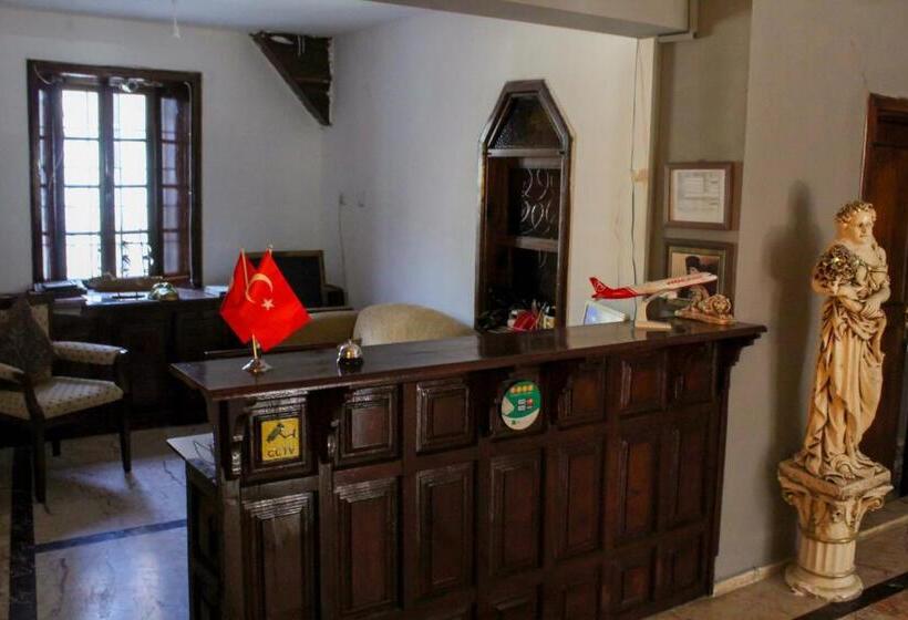 מוטל White City Pension