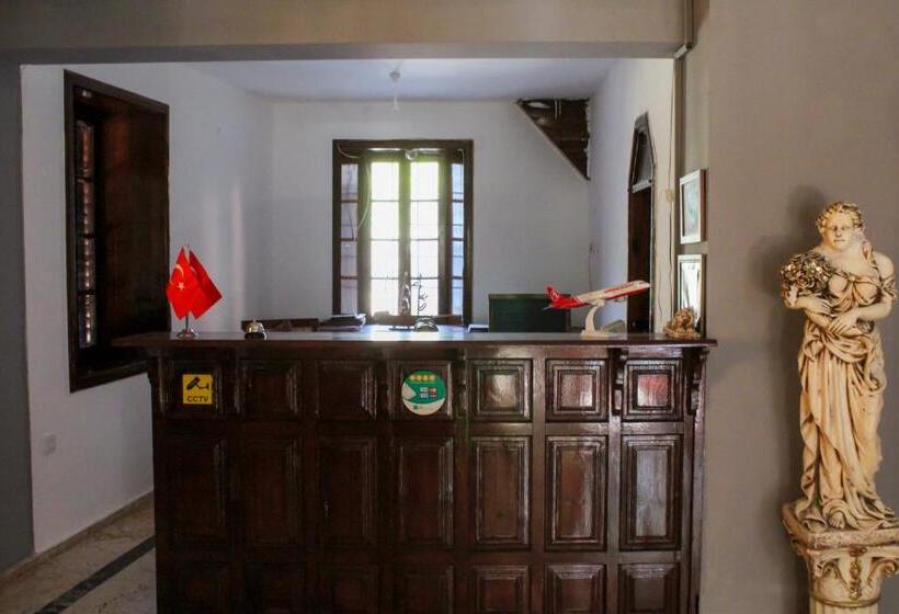 מוטל White City Pension