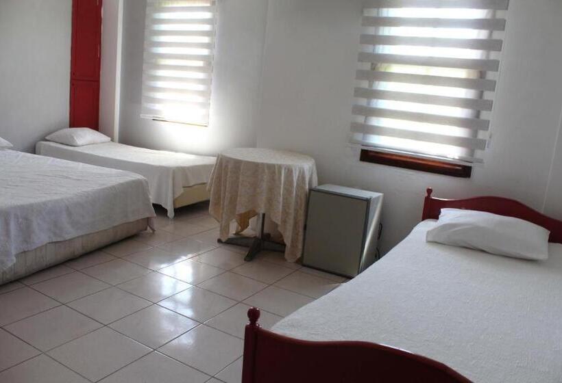 מוטל White City Pension