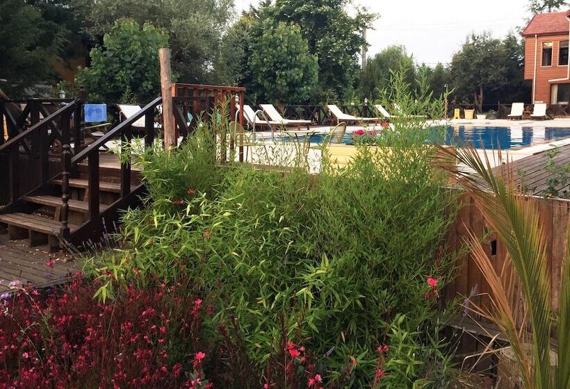 استراحتگاه Robin S Nest