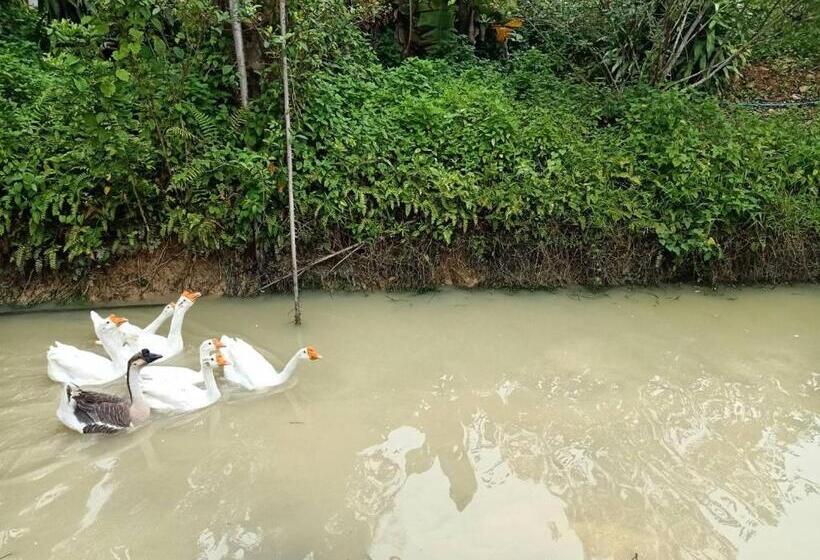 ホテル Banana Place Resort