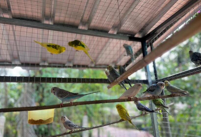 ホテル Banana Place Resort