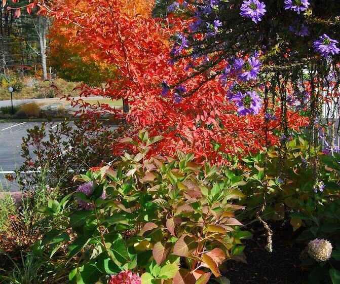 בית מלון כפרי Cod Cove Inn, Bw Signature Collection