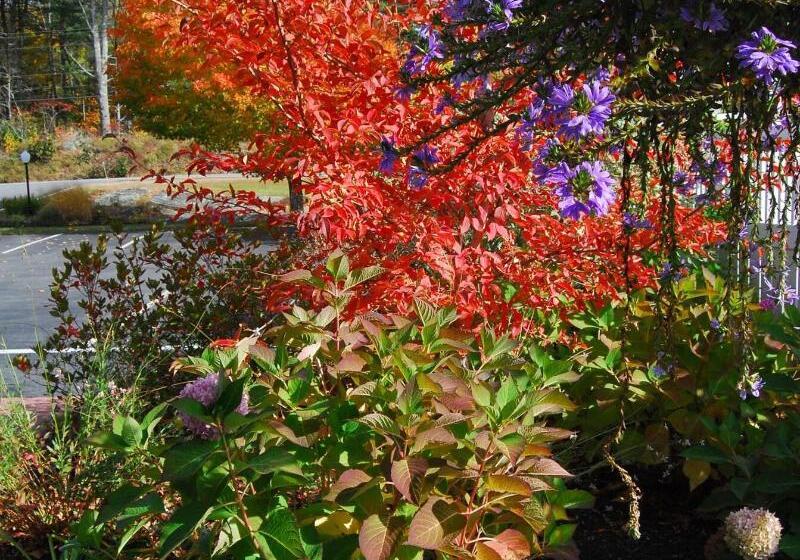 בית מלון כפרי Cod Cove Inn, Bw Signature Collection