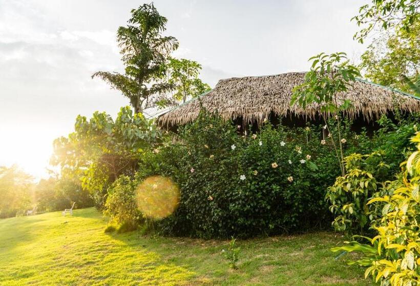 リゾートホテル Rabbit Bungalow