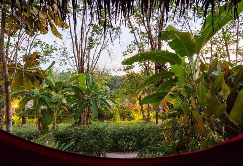 リゾートホテル Rabbit Bungalow