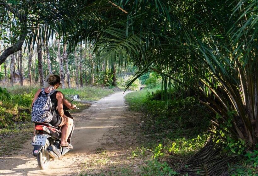 リゾートホテル Rabbit Bungalow