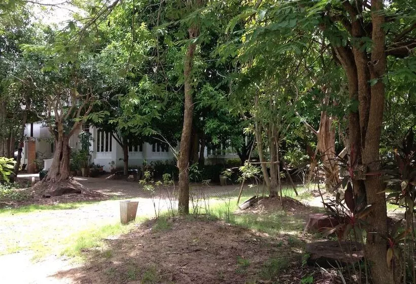Young Coconut Garden Home Resort