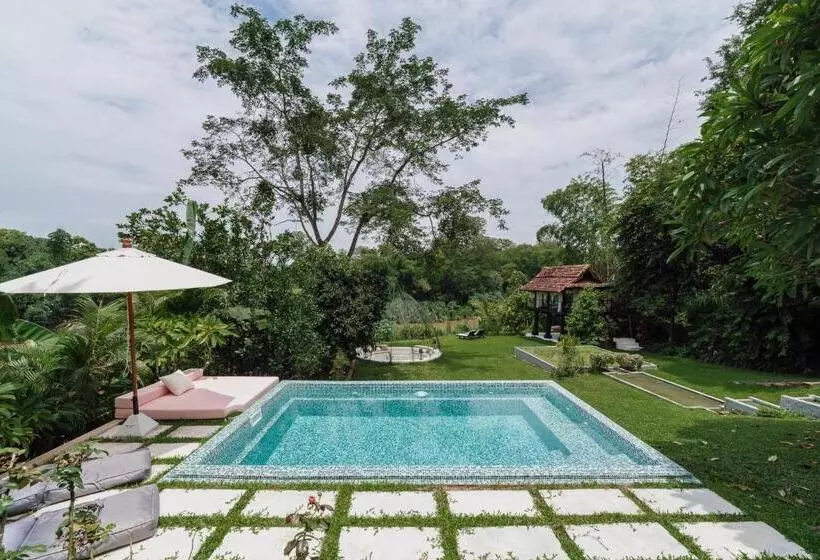 تختخواب و صبحانه Baan 88 Chiang Mai