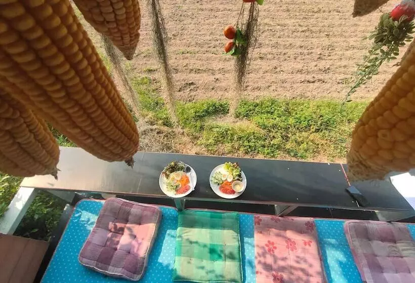 ベッドアンドブレックファースト Bua Patumma Resort
