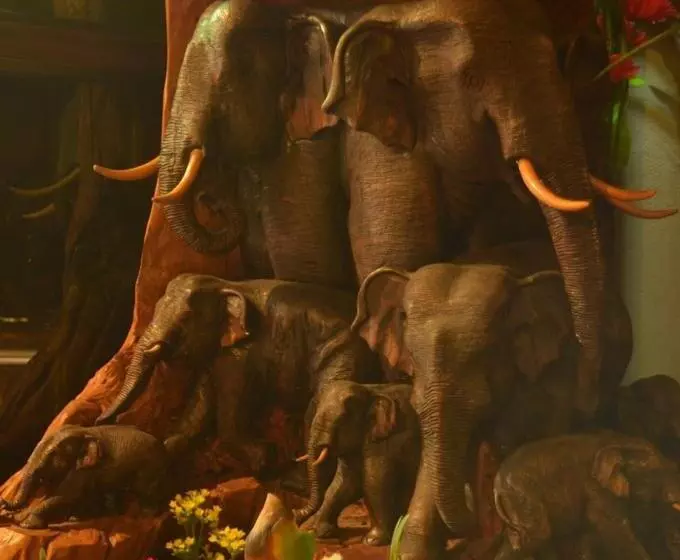 Hotelli หมื่นช้างน่านบูทีค