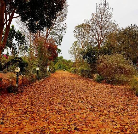 Отель Davinci Di Khao Yai