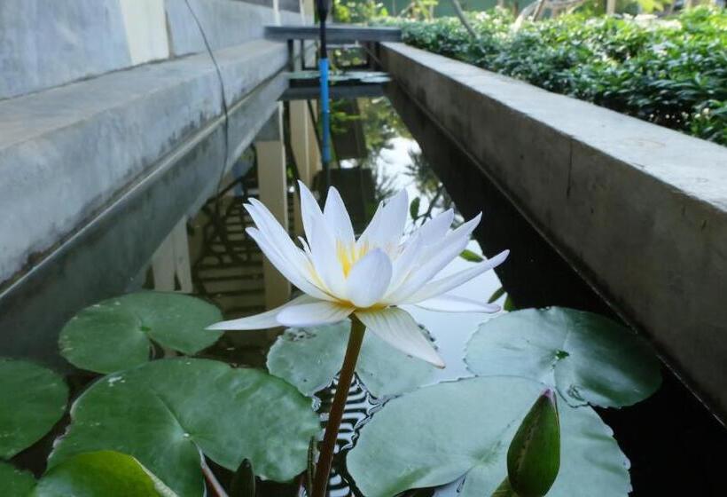 Hotel Lullaby Boutique Resort