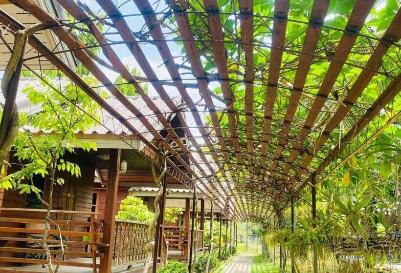 Отель Phuphan Park