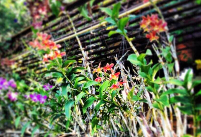 Отель Phuphan Park