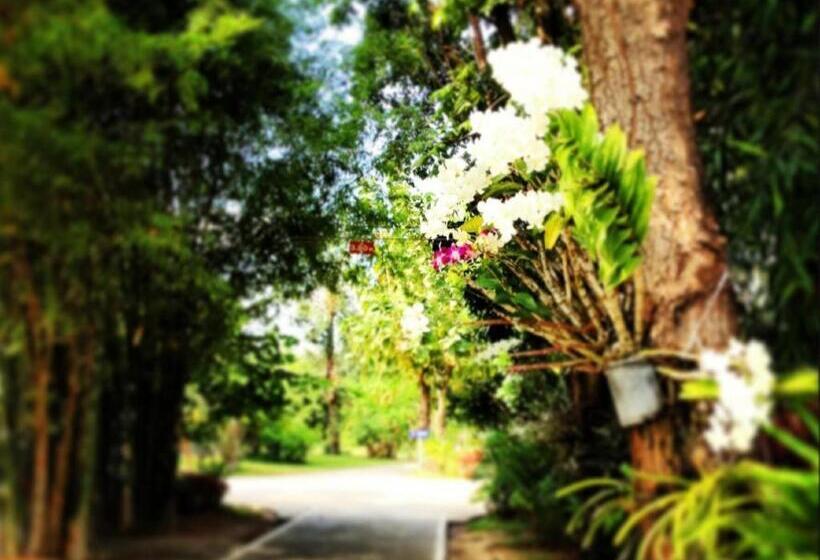 Отель Phuphan Park