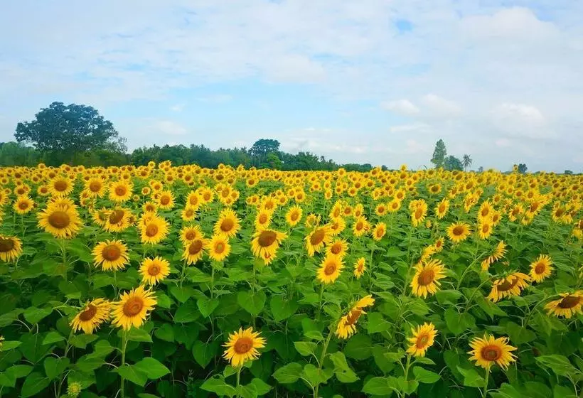ホテル Wanlapa Farmstay